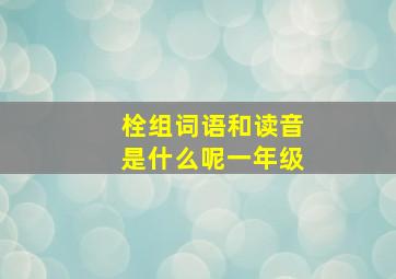 栓组词语和读音是什么呢一年级