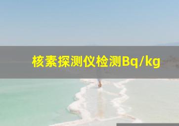 核素探测仪检测Bq/kg