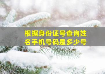 根据身份证号查询姓名手机号码是多少号