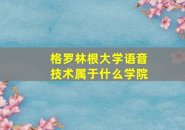 格罗林根大学语音技术属于什么学院