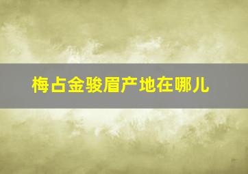 梅占金骏眉产地在哪儿