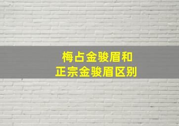 梅占金骏眉和正宗金骏眉区别