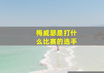 梅威瑟是打什么比赛的选手