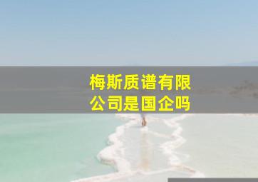 梅斯质谱有限公司是国企吗