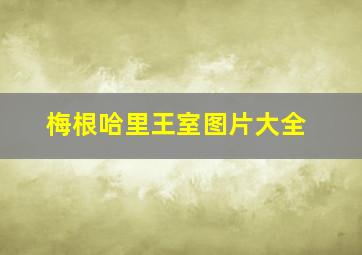 梅根哈里王室图片大全