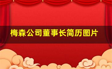 梅森公司董事长简历图片