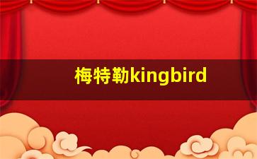 梅特勒kingbird