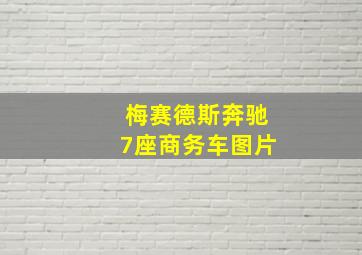 梅赛德斯奔驰7座商务车图片