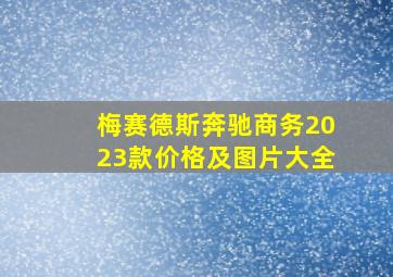 梅赛德斯奔驰商务2023款价格及图片大全