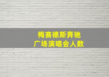 梅赛德斯奔驰广场演唱会人数