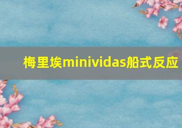 梅里埃minividas船式反应