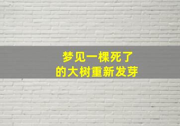 梦见一棵死了的大树重新发芽