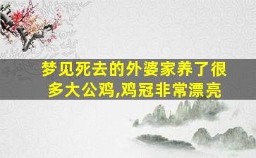 梦见死去的外婆家养了很多大公鸡,鸡冠非常漂亮