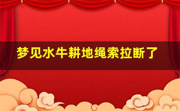 梦见水牛耕地绳索拉断了