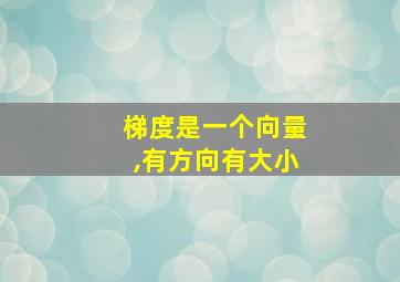 梯度是一个向量,有方向有大小