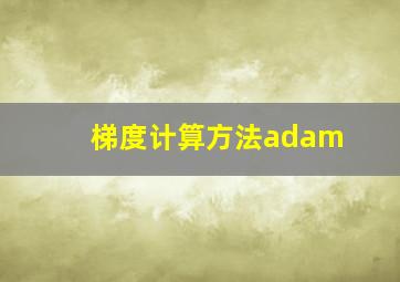 梯度计算方法adam