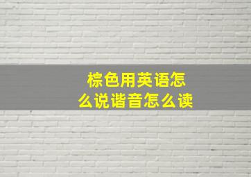 棕色用英语怎么说谐音怎么读