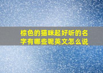 棕色的猫咪起好听的名字有哪些呢英文怎么说