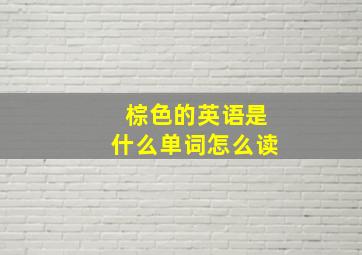 棕色的英语是什么单词怎么读