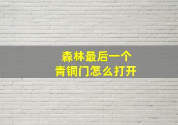 森林最后一个青铜门怎么打开