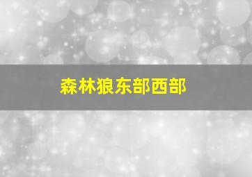 森林狼东部西部