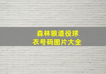 森林狼退役球衣号码图片大全