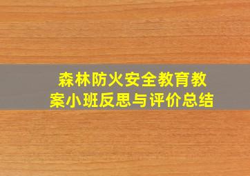 森林防火安全教育教案小班反思与评价总结