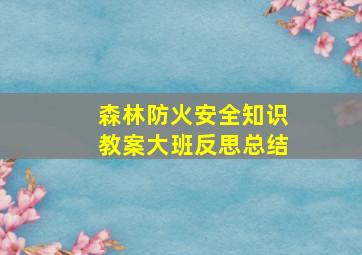 森林防火安全知识教案大班反思总结