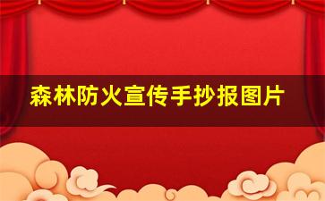 森林防火宣传手抄报图片