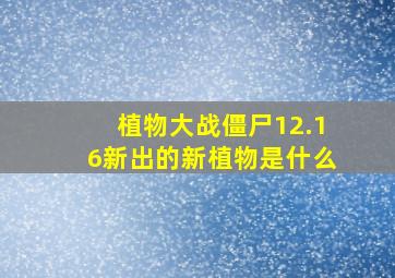 植物大战僵尸12.16新出的新植物是什么