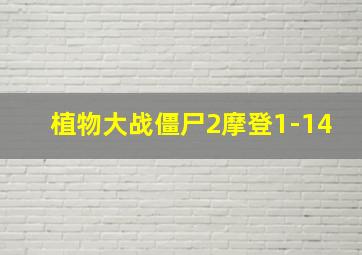 植物大战僵尸2摩登1-14