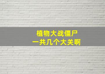 植物大战僵尸一共几个大关啊