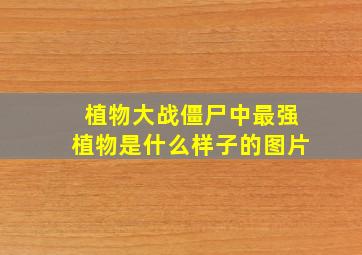 植物大战僵尸中最强植物是什么样子的图片