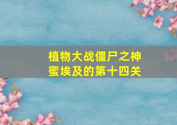 植物大战僵尸之神蜜埃及的第十四关