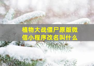 植物大战僵尸原版微信小程序改名叫什么