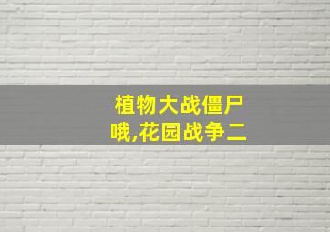 植物大战僵尸哦,花园战争二