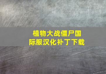 植物大战僵尸国际服汉化补丁下载