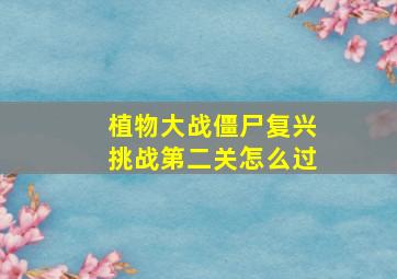 植物大战僵尸复兴挑战第二关怎么过