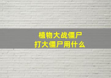 植物大战僵尸打大僵尸用什么