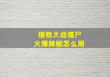 植物大战僵尸火爆辣椒怎么用