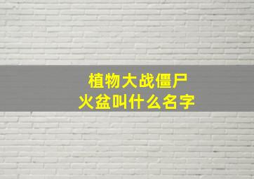 植物大战僵尸火盆叫什么名字