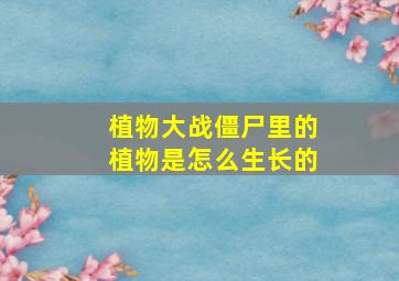 植物大战僵尸里的植物是怎么生长的