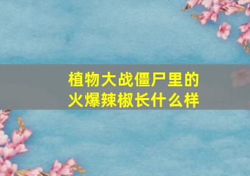 植物大战僵尸里的火爆辣椒长什么样