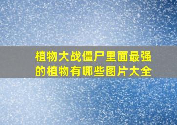 植物大战僵尸里面最强的植物有哪些图片大全