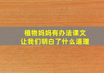 植物妈妈有办法课文让我们明白了什么道理