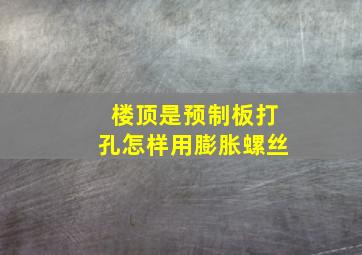 楼顶是预制板打孔怎样用膨胀螺丝