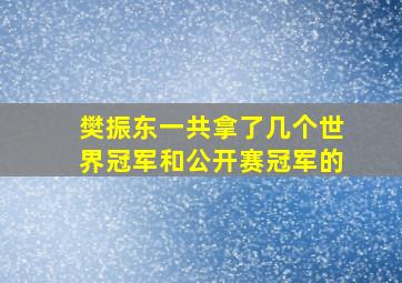 樊振东一共拿了几个世界冠军和公开赛冠军的