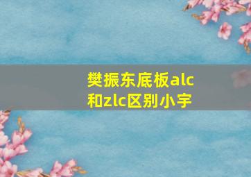 樊振东底板alc和zlc区别小宇