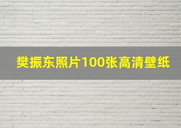 樊振东照片100张高清壁纸