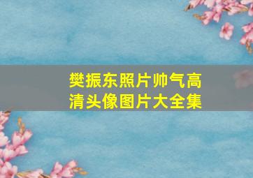 樊振东照片帅气高清头像图片大全集